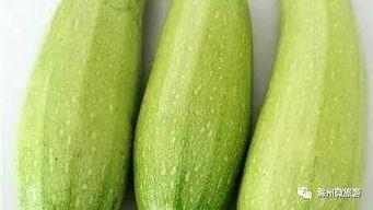 以前吃的小白瓜,探寻儿时记忆中的美味瓜果
