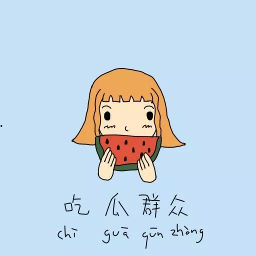 吃瓜群众王小猫,吃瓜群众王小猫的趣味观察日记