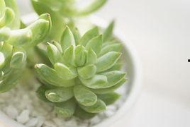 吃角瓜治腹泻吗怎么吃,传统食疗新探索