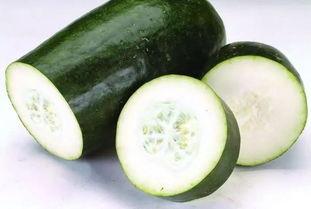 带你吃瓜茶叶,带你领略“吃瓜茶叶”的独特魅力