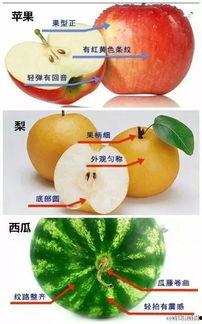 吃娄底的瓜,探寻地方特色美食之旅