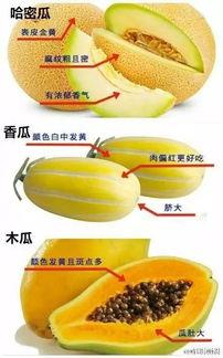 吃娄底的瓜,探寻地方特色美食之旅