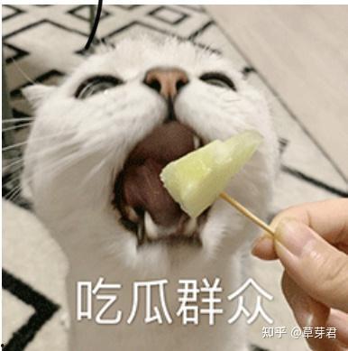 吃瓜吃瓜社会社会