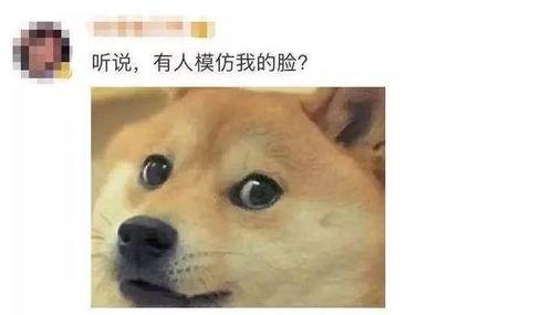 吃瓜吃瓜社会社会