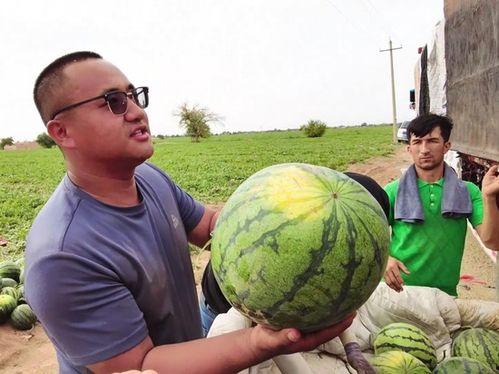 吃瓜精彩,揭秘娱乐圈幕后精彩瞬间