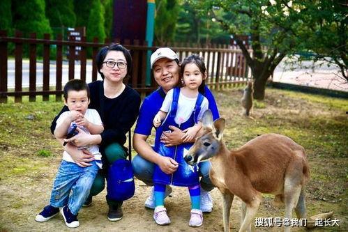 河马吃瓜gif,夏日清凉一幕