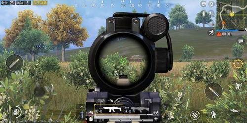 和平精英网恋吃瓜,甜蜜互动背后的真相揭秘