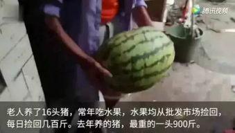 这就是吃瓜原视频,一场视觉盛宴的幕后故事