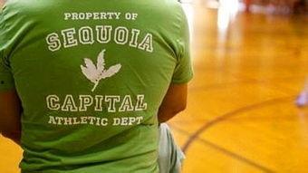 红杉资本吃瓜,揭秘投资界的“吃瓜群众”