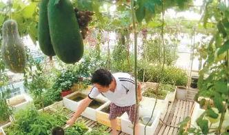 吃瓜楼顶忘关麦,意外直播引发网友热议