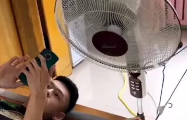 风扇吃瓜,揭秘夏日清凉背后的秘密