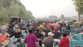 任11吃瓜,揭秘娱乐圈背后的那些事儿