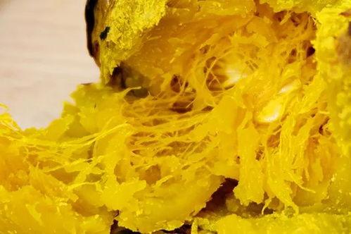 鹿羽吃瓜粉色的