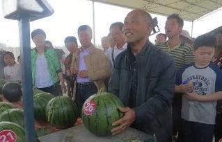 安阳内黄吃瓜群众,吃瓜群众的夏日狂欢