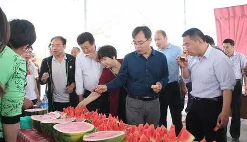 安阳内黄吃瓜群众,吃瓜群众的夏日狂欢