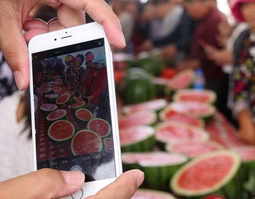 安阳内黄吃瓜群众,吃瓜群众的夏日狂欢