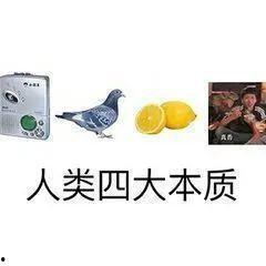 天天吃瓜语音,揭秘娱乐圈幕后真相