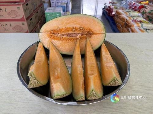 新疆伽师瓜怎么吃,尽享甜蜜滋味