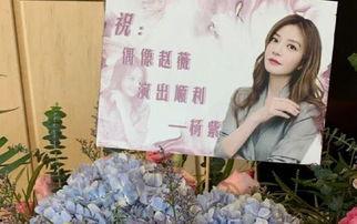 追星吃瓜妹,揭秘娱乐圈背后的故事