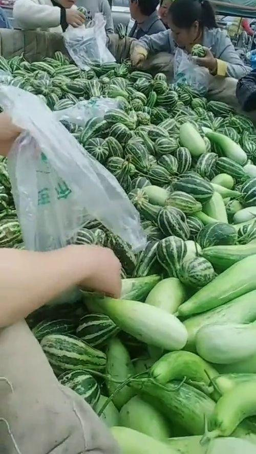 街上吃瓜照片,捕捉吃瓜群众的欢乐时光