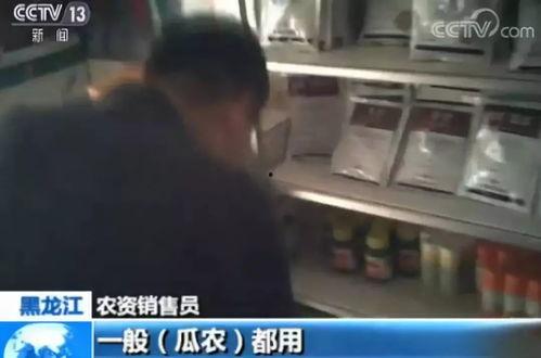 汾阳头条吃瓜视频曝光,吃瓜视频曝光背后的惊人真相