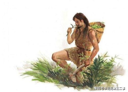 跟着神农有瓜吃,探寻瓜果之源，跟随神农的脚步品味自然之味