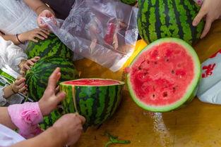 吃瓜气氛的视频,揭秘热门视频背后的吃瓜狂欢