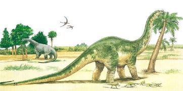 吃瓜恐龙毛绒,萌趣横生的恐龙新宠