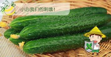 吃瓜百度种子,网络热议背后的真相与影响