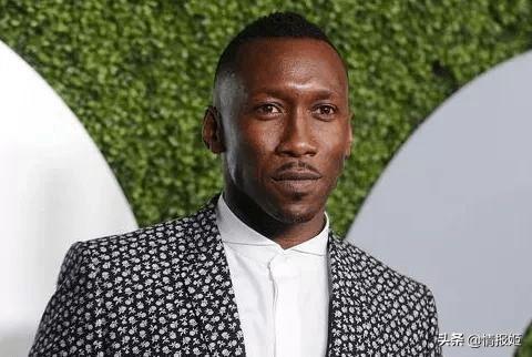 陈哥吃瓜,揭秘娱乐圈幕后故事