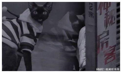 推理吃瓜,揭秘吃瓜群众的推理世界