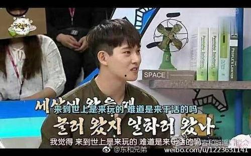 吉吉吃瓜小说后续,揭秘娱乐圈背后的秘密与真相