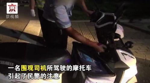 吃瓜司机4826,一场网络热传的趣味之旅