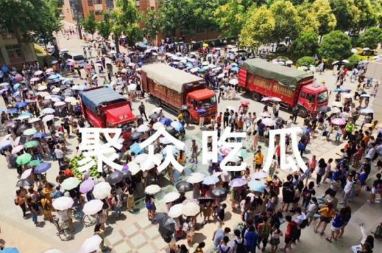 湖南吃瓜学院,揭秘湘菜背后的趣味与智慧