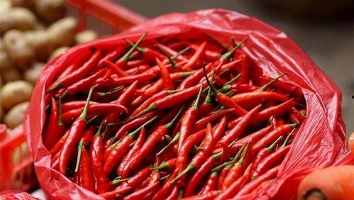 商洛瓜女子吃辣子,商洛女子挑战极限，勇吃辣子展现无畏精神