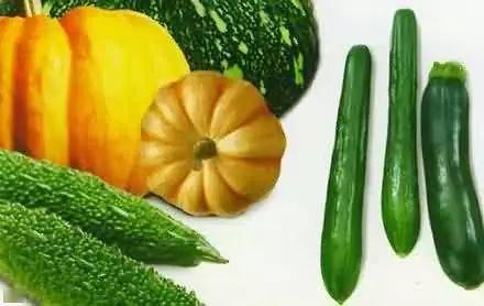 神仙吃瓜现场,吃瓜现场一触即发！