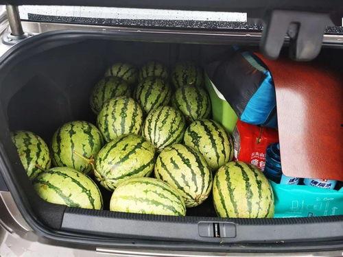 神仙吃瓜现场,吃瓜现场一触即发！