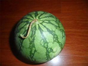 付瓜老了怎么吃,解锁传统美食新吃法