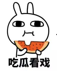 小主吃瓜后续,揭秘娱乐圈背后的秘密与真相