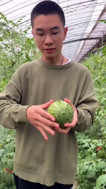 剥着吃的瓜,尽享夏日清凉——剥着吃的瓜