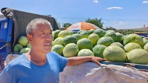 吃打籽瓜好吗,吃打籽瓜的益处与注意事项