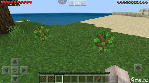 我的世界平民吃瓜