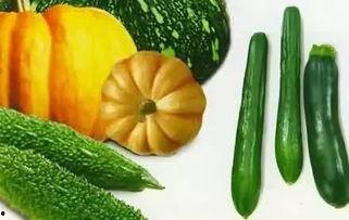 夏天应该吃的瓜,盘点夏季必吃的瓜类美食