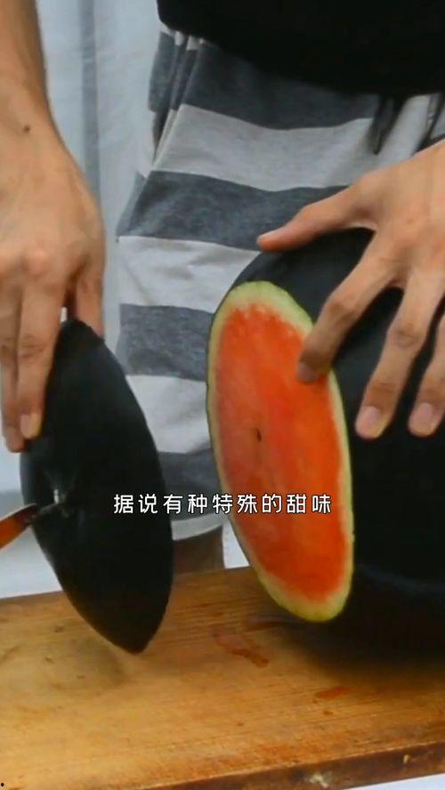 煤球吃瓜,揭秘网络热词背后的趣味与思考