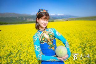 哈密瓜吃哈密瓜主播,一场视觉与味蕾的双重享受