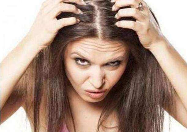 赵梓婷薅头发吃瓜视频,这操作太绝了！