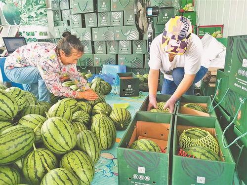 武穴最近吃瓜事件,揭秘网络谣言背后的真相