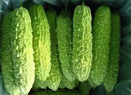 南宁大学吃瓜,吃瓜群众围观校园新鲜事