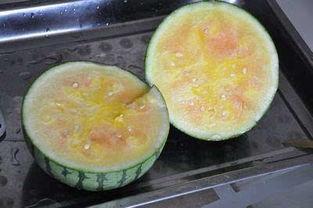 沪哥吃瓜,揭秘娱乐圈那些不为人知的幕后故事